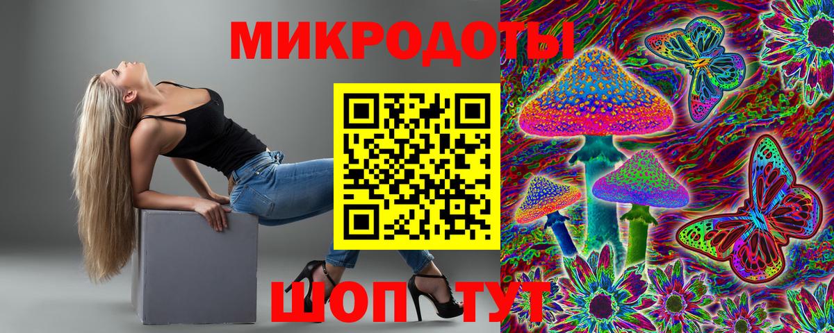 Псилоцибиновые грибы мицелий Серпухов