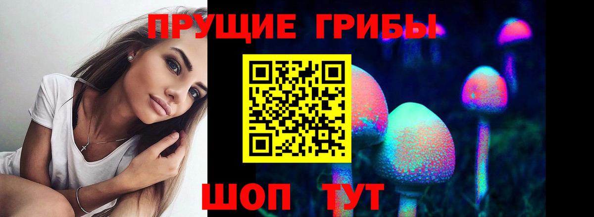 Псилоцибиновые грибы GOLDEN TEACHER  Галлюциногенные грибы ЛСД  Вход с VPN  Серпухов 